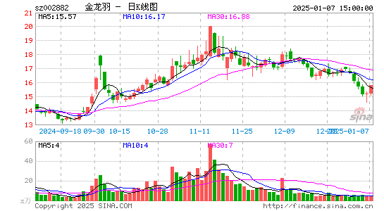 金龙羽