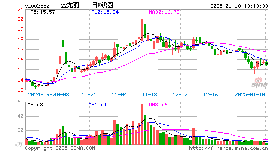 金龙羽