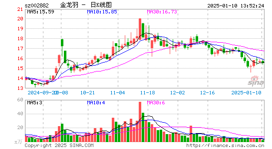 金龙羽