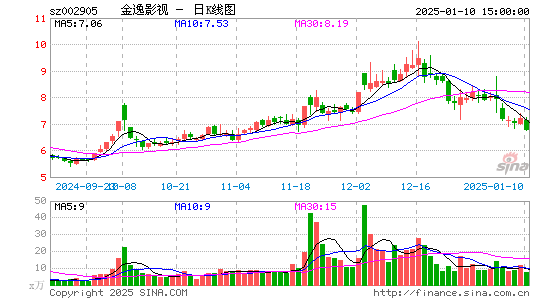 金逸影视