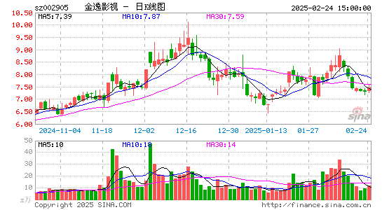 金逸影视