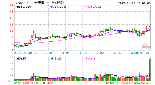 金奥博