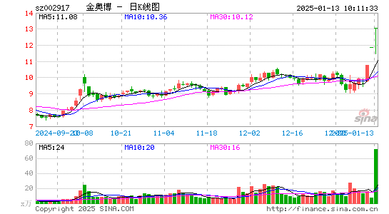 金奥博