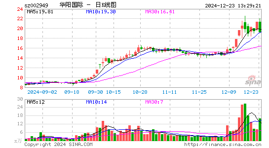 华阳国际