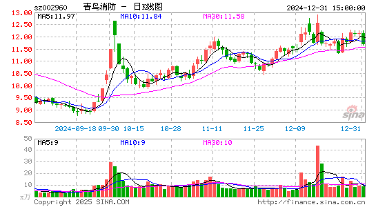 青鸟消防