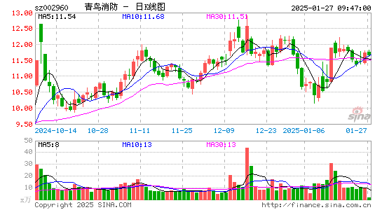 青鸟消防