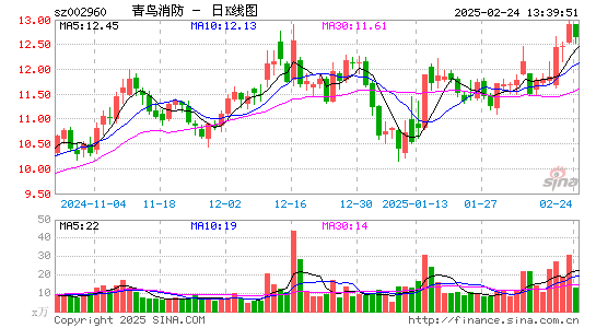 青鸟消防