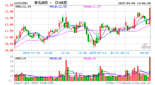 青鸟消防