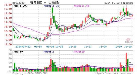 青鸟消防