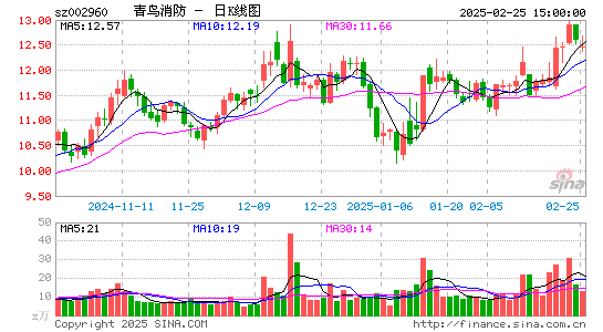 青鸟消防