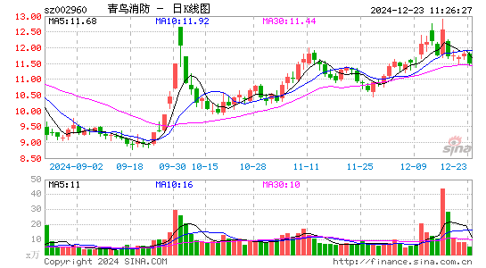 青鸟消防