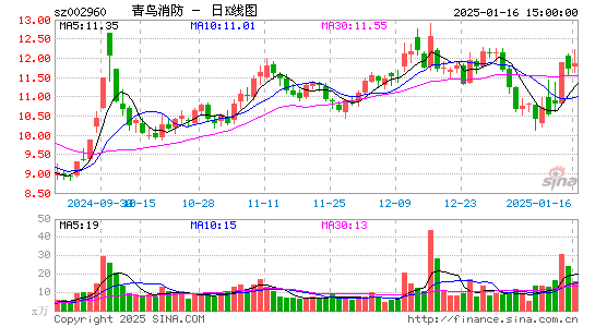 青鸟消防