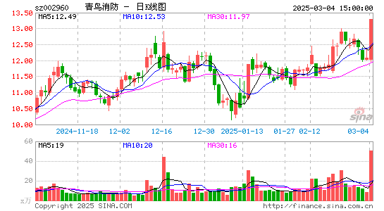 青鸟消防