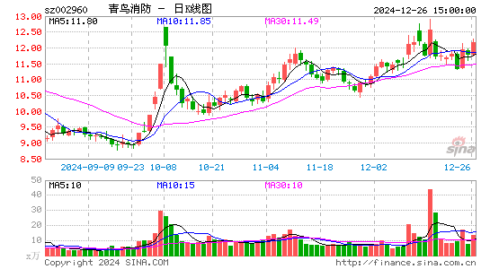 青鸟消防