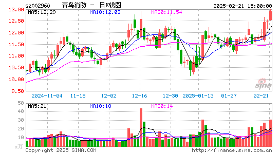 青鸟消防