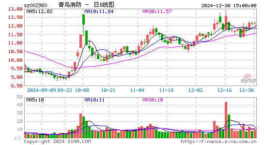 青鸟消防