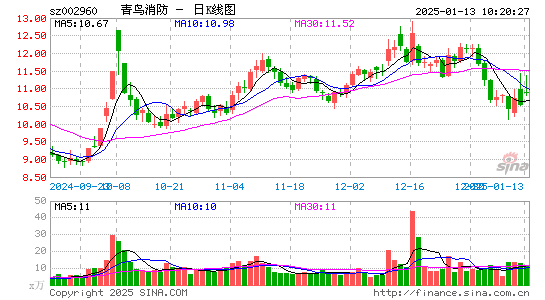 青鸟消防