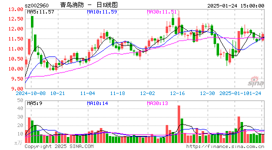 青鸟消防