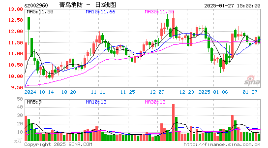 青鸟消防