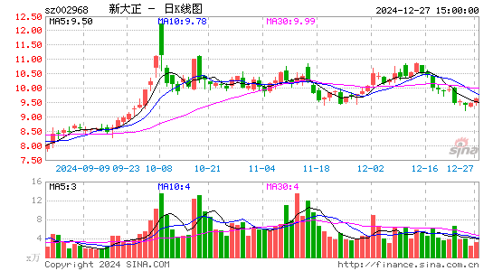 新大正