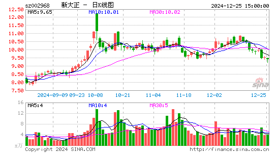 新大正