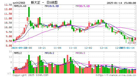 新大正