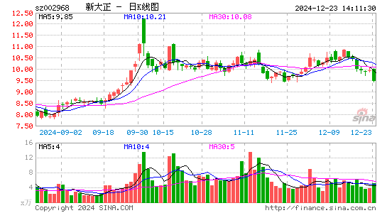 新大正