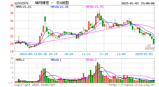 瑞玛精密