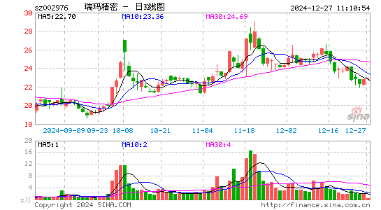 瑞玛精密