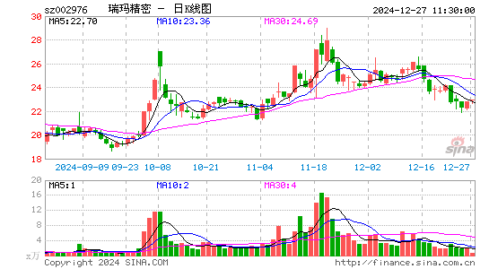 瑞玛精密