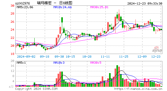 瑞玛精密