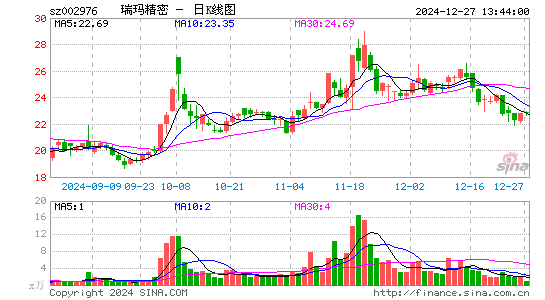 瑞玛精密