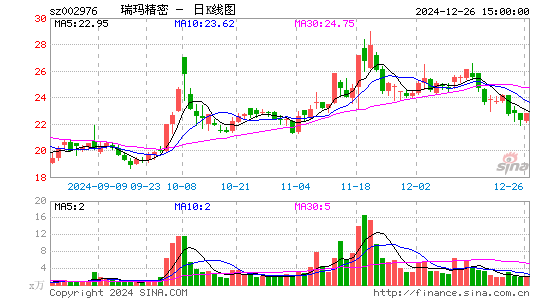 瑞玛精密