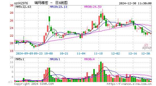 瑞玛精密