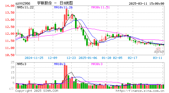 宇新股份