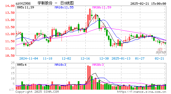 宇新股份