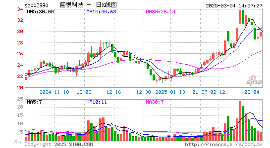 盛视科技