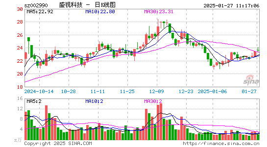 盛视科技