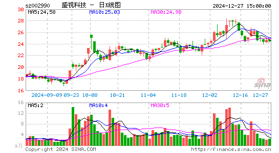 盛视科技