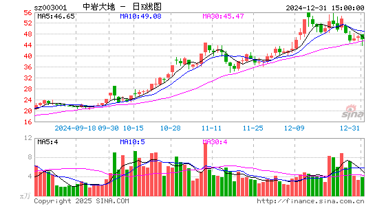 中岩大地