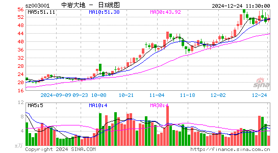 中岩大地