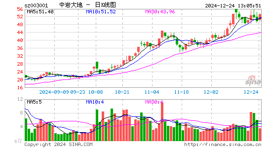 中岩大地