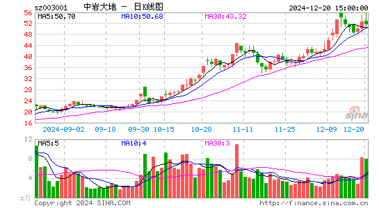 中岩大地