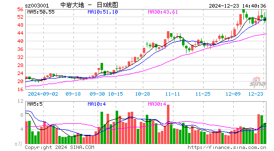 中岩大地