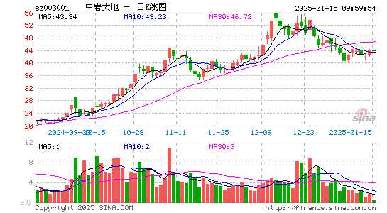 中岩大地