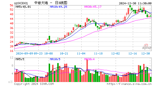 中岩大地