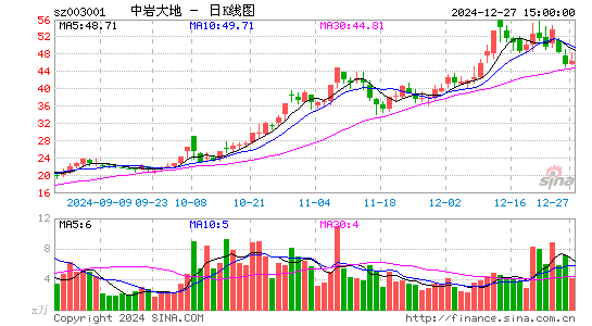 中岩大地