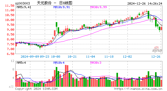 天元股份