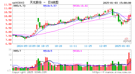 天元股份