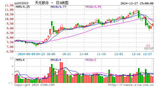 天元股份